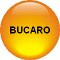 Bucaro