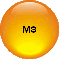 MS